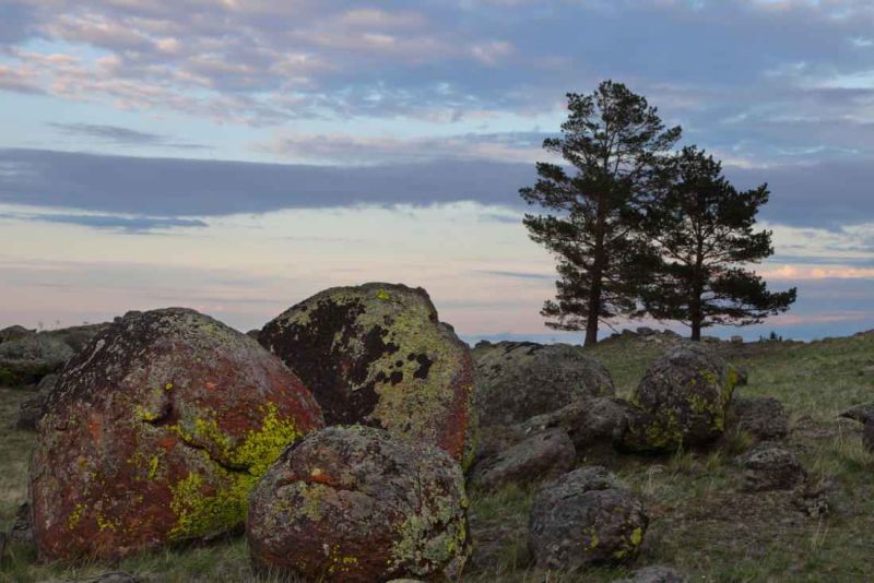 tazeranskaja steppe222.jpg